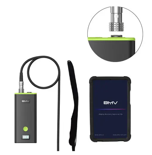 Hand-held veterinary ultrasound system BestScan® S7 Plus Endocavitary Vet