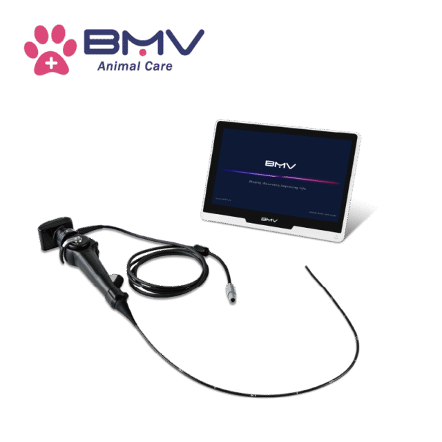 EquiScan™ BVI-11 Multipurpose Portable Veterinary Endoscope