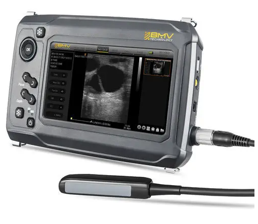 Hand-held veterinary ultrasound system BestScan® S6 Linear-Array Vet