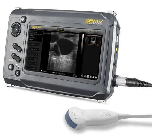 Hand-held veterinary ultrasound system BestScan® S6 Microconvex-Array Vet
